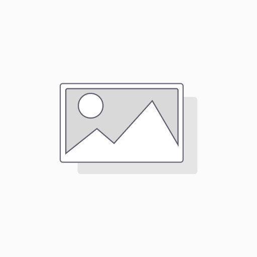 10" Plate | L-Plat